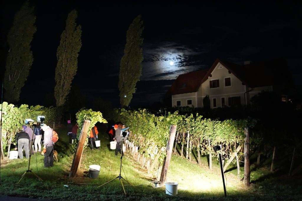 Apartament Winzerhof Familie Kloeckl Klöch Zewnętrze zdjęcie
