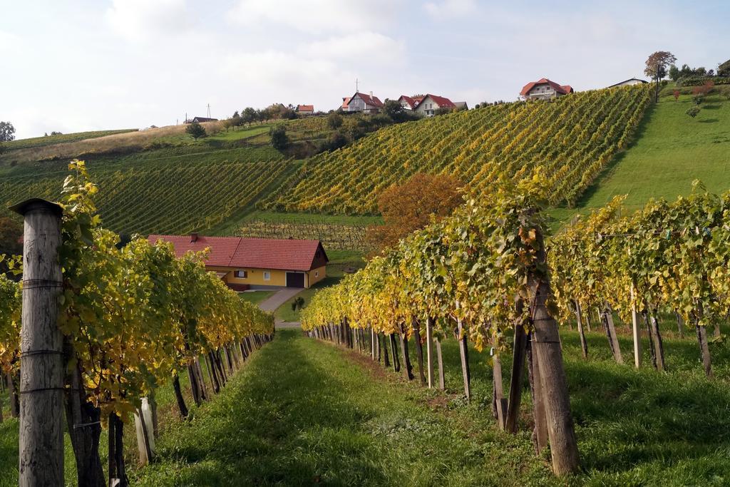 Apartament Winzerhof Familie Kloeckl Klöch Zewnętrze zdjęcie