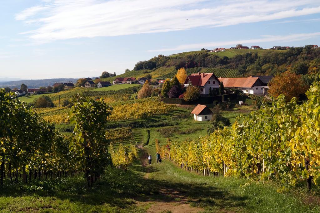 Apartament Winzerhof Familie Kloeckl Klöch Zewnętrze zdjęcie