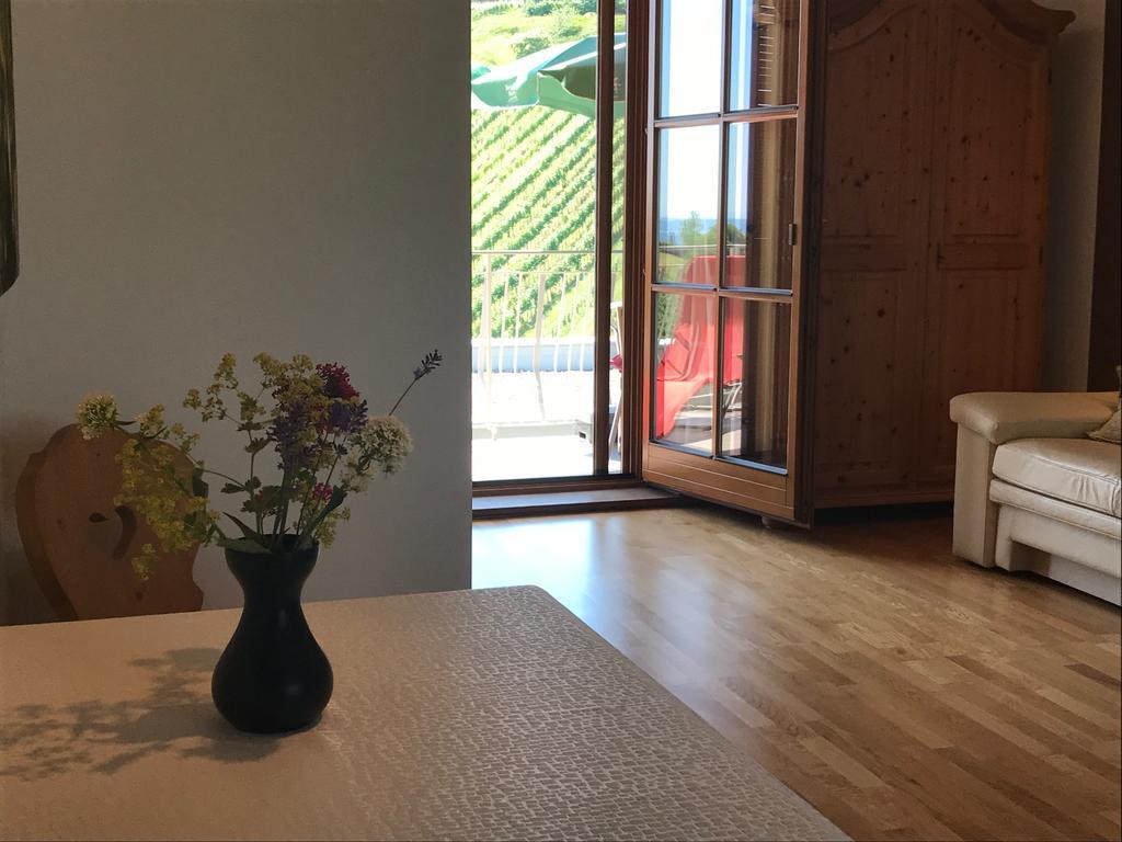 Apartament Winzerhof Familie Kloeckl Klöch Zewnętrze zdjęcie