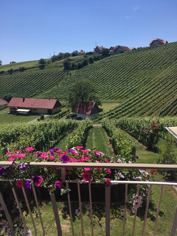 Apartament Winzerhof Familie Kloeckl Klöch Zewnętrze zdjęcie